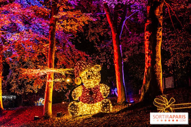 Lumières en Seine 2025, les photos du parcours de lumières - A7C00389