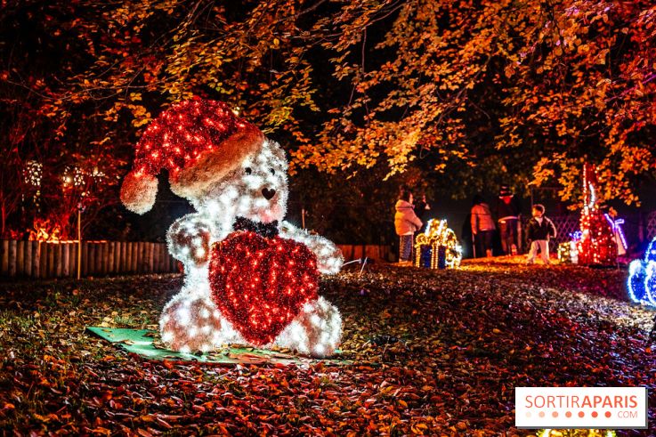 Lumières en Seine 2025, les photos du parcours de lumières - A7C00390