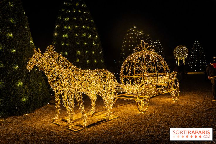 Lumières en Seine 2025, les photos du parcours de lumières - A7C00416