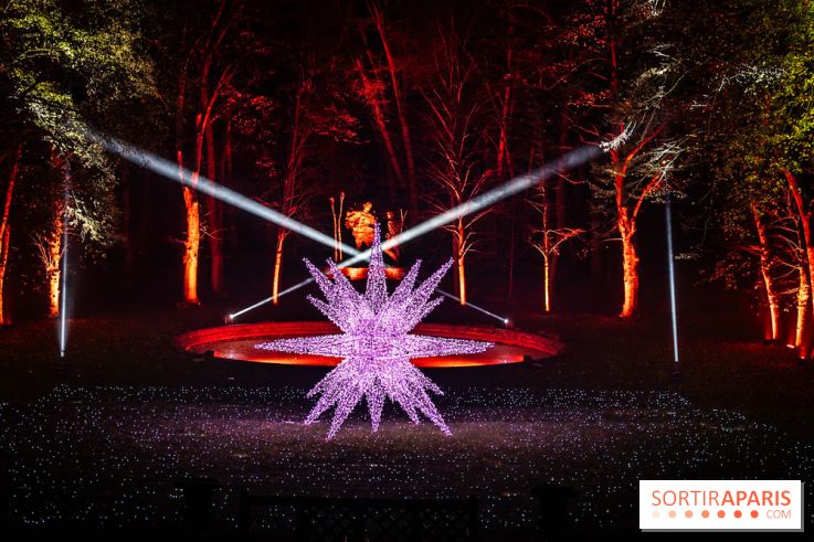 Lumières en Seine 2025, les photos du parcours de lumières - A7C00425