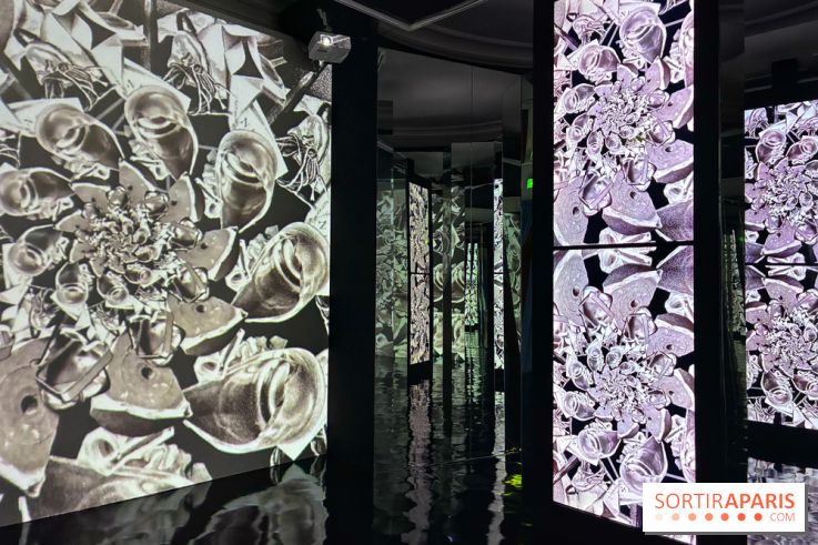 MC. Escher à la Monnaie de Paris - IMG 0843