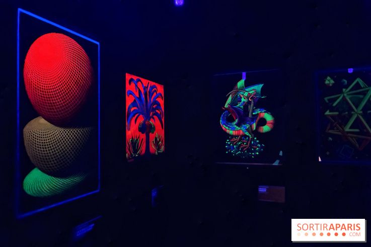 MC. Escher à la Monnaie de Paris - IMG 0879