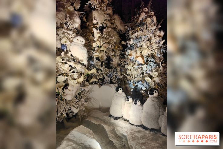 Le Grand Noël 2025 du château de Vaux-le-Vicomte : des décorations magiques pour une balade hivernale mémorable