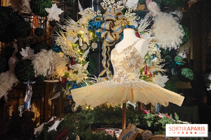 Le Grand Noël 2025 du château de Vaux-le-Vicomte : des décorations magiques pour une balade hivernale mémorable - fotor 1763143823985