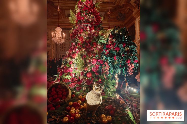 Le Grand Noël 2025 du château de Vaux-le-Vicomte : des décorations magiques pour une balade hivernale mémorable - fotor 1763143767663