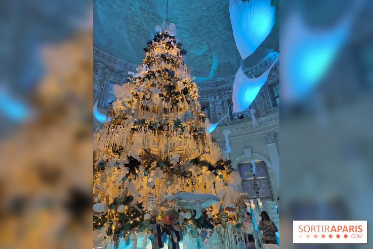 Le Grand Noël 2025 du château de Vaux-le-Vicomte : des décorations magiques pour une balade hivernale mémorable - fotor 1763143654287