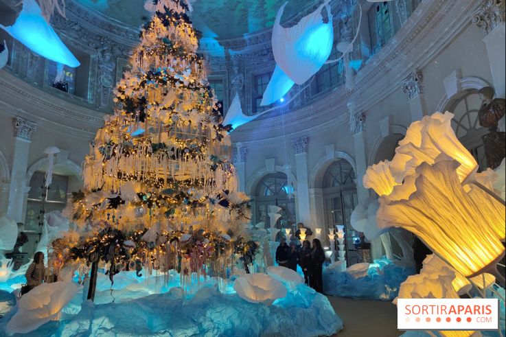 Le Grand Noël 2025 du château de Vaux-le-Vicomte : des décorations magiques pour une balade hivernale mémorable