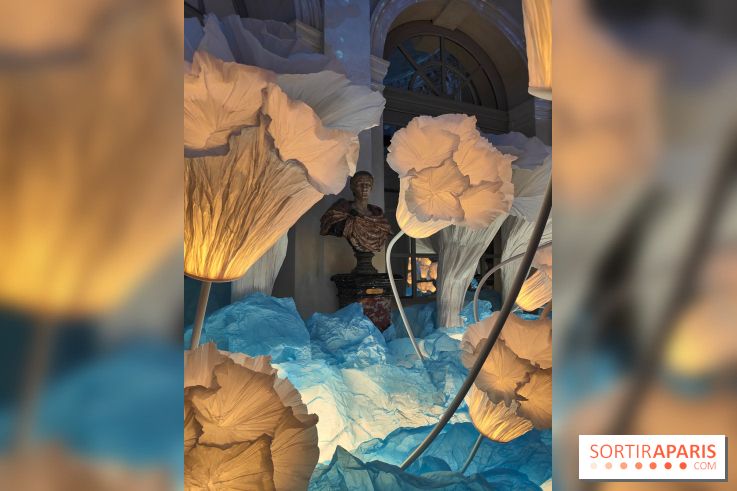 Le Grand Noël 2025 du château de Vaux-le-Vicomte : des décorations magiques pour une balade hivernale mémorable - fotor 1763143641292