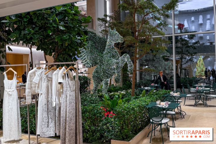 Noël 2025 Dior 30 Montaigne - IMG 1956