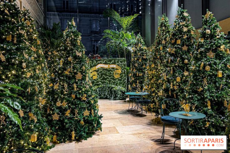 Noël 2025 Dior 30 Montaigne - IMG 1968