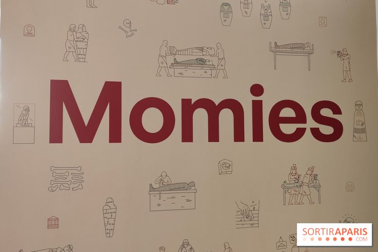 Momies : une exposition insolite et troublante à découvrir au musée de l'Homme