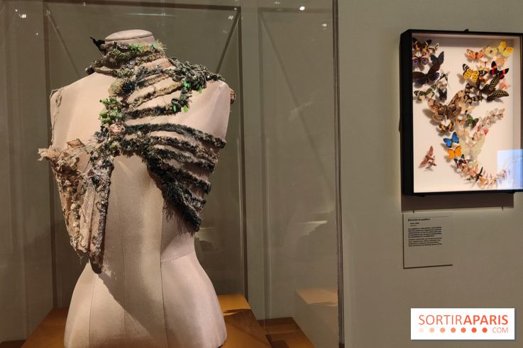 Momies : une exposition insolite et troublante à découvrir au musée de l'Homme - fotor 1763471284495