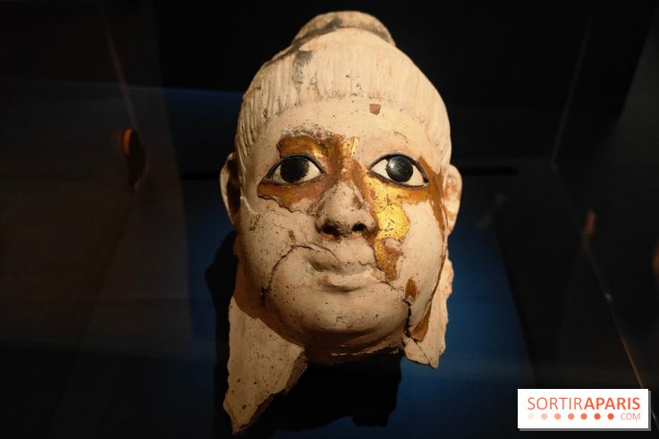 Momies : une exposition insolite et troublante à découvrir au musée de l'Homme - fotor 1763471329512