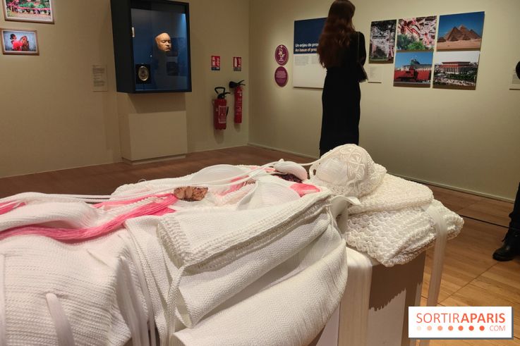 Momies : une exposition insolite et troublante à découvrir au musée de l'Homme - fotor 1763471367038