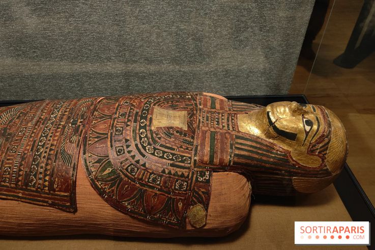 Momies : une exposition insolite et troublante à découvrir au musée de l'Homme