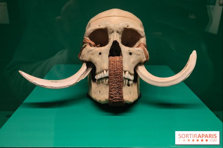 Momies : une exposition insolite et troublante à découvrir au musée de l'Homme - fotor 1763471574922