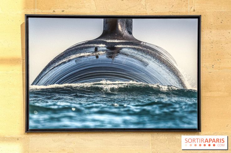 Les Peintres de la Marine : l’exposition dédiée à l’univers maritime à l’Espace Richaud à Versailles - IMG 1865