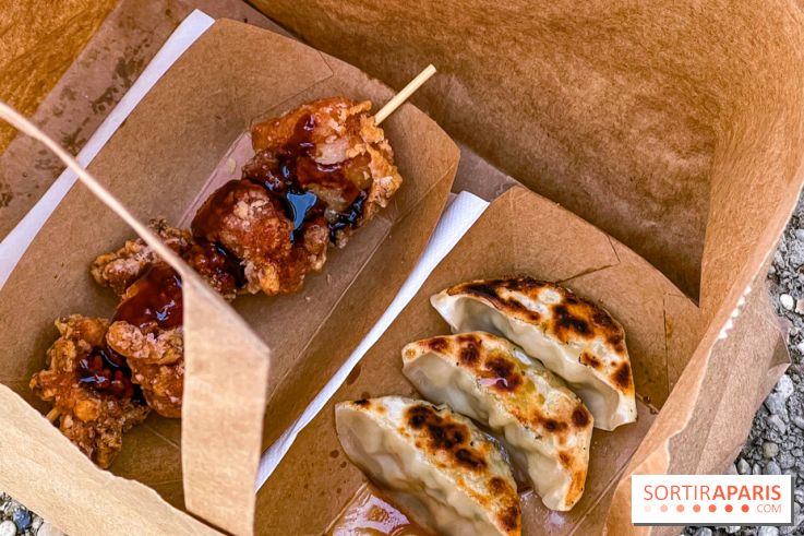 Versailles Electro 2025, la soirée electro du château de Versailles  - IMG 5091