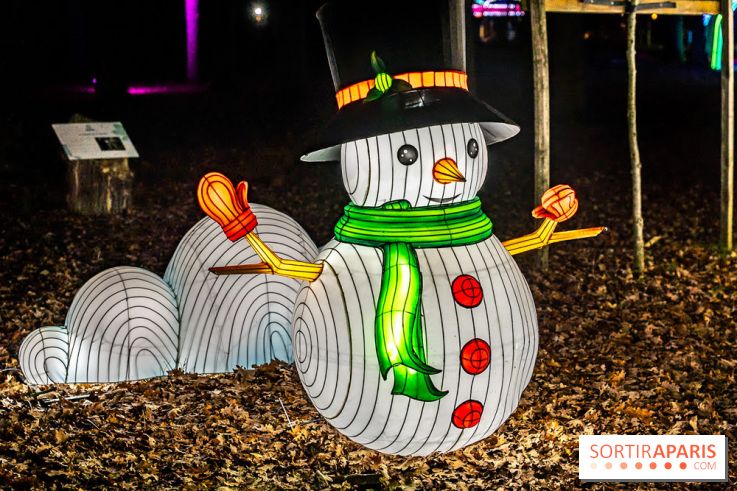 L'Odyssée Lumineuse au Parc Floral 2025, les photos