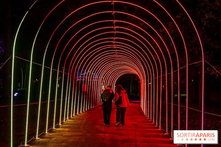 L'Odyssée Lumineuse au Parc Floral 2025, les photos