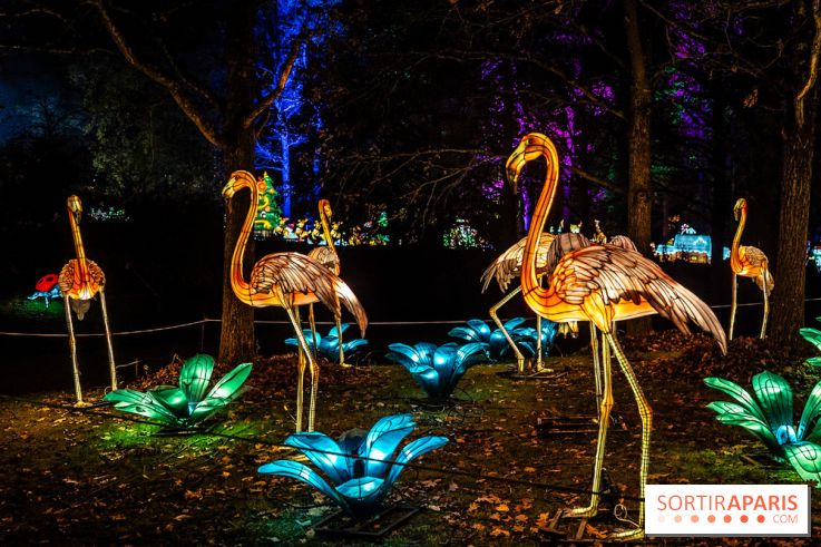 L'Odyssée Lumineuse au Parc Floral 2025, les photos