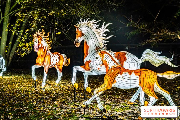 L'Odyssée Lumineuse au Parc Floral 2025, les photos