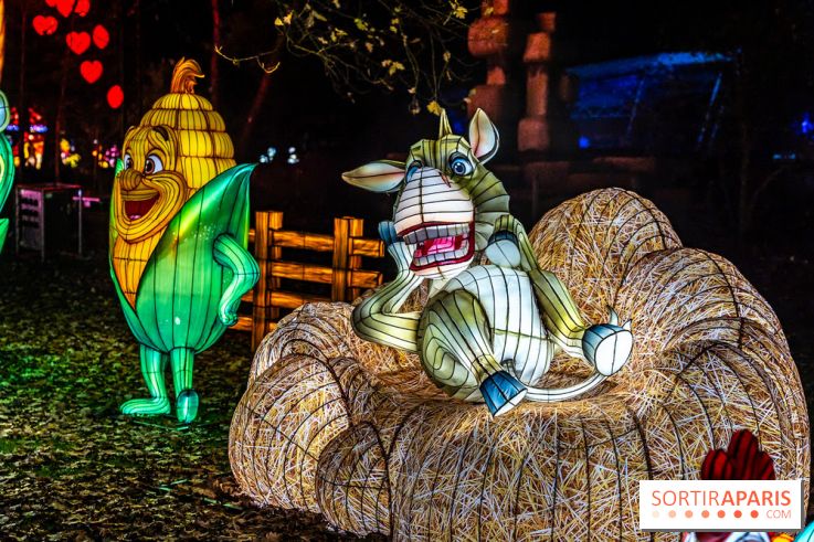 L'Odyssée Lumineuse au Parc Floral 2025, les photos