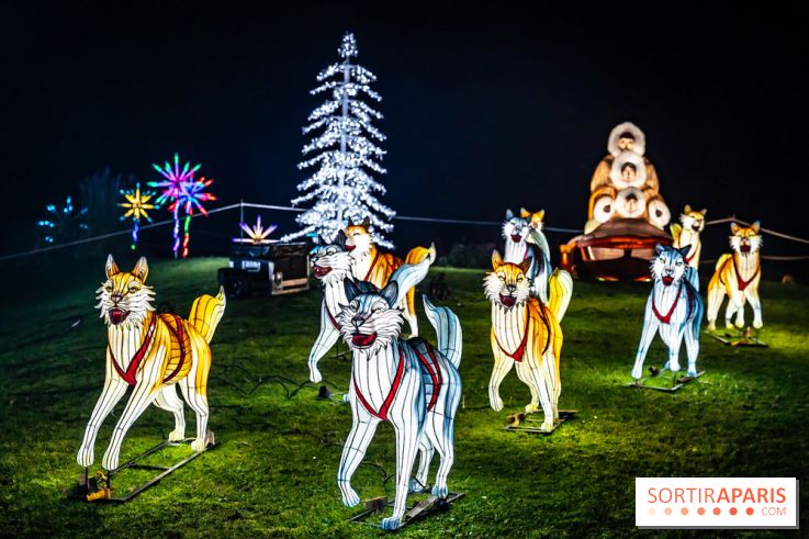 L'Odyssée Lumineuse au Parc Floral 2025, les photos