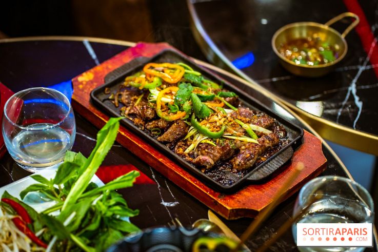 Amour du Vietnam, le restaurant Vietnamien Paris 14e - A7C01613