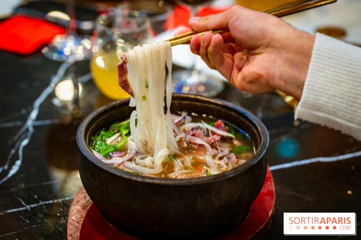 Amour du Vietnam, le restaurant Vietnamien Paris 14e - A7C01580