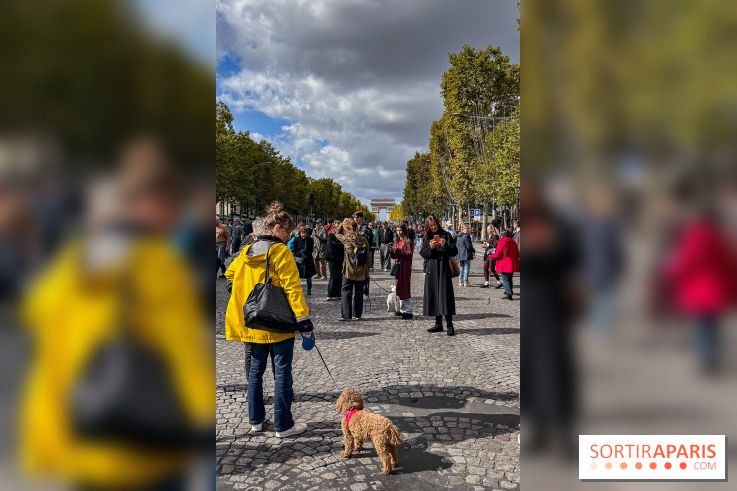 La Marche des animaux à Paris : défilé gratuit, ouvert aux chiens, chats ... sur les Champs-Élysées - IMG 5257
