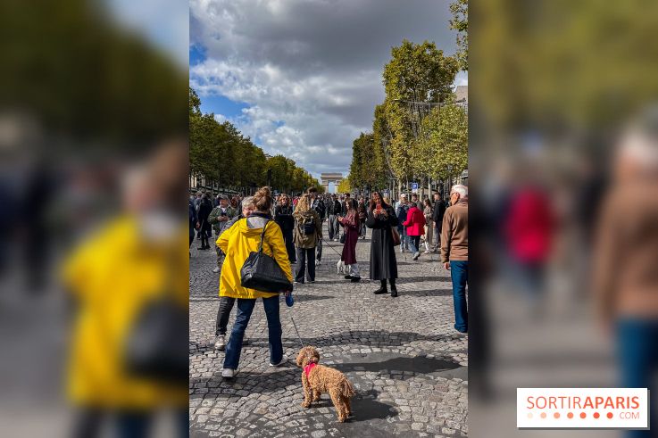 La Marche des animaux à Paris : défilé gratuit, ouvert aux chiens, chats ... sur les Champs-Élysées - IMG 5258