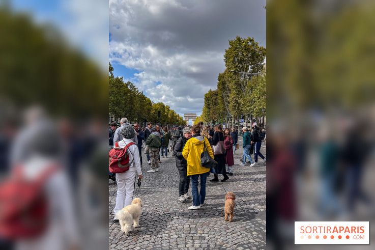 La Marche des animaux à Paris : défilé gratuit, ouvert aux chiens, chats ... sur les Champs-Élysées - IMG 5261