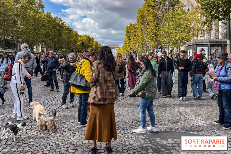 La Marche des animaux à Paris : défilé gratuit, ouvert aux chiens, chats ... sur les Champs-Élysées - IMG 5263