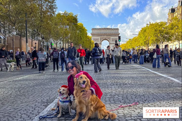 La Marche des animaux à Paris : défilé gratuit, ouvert aux chiens, chats ... sur les Champs-Élysées