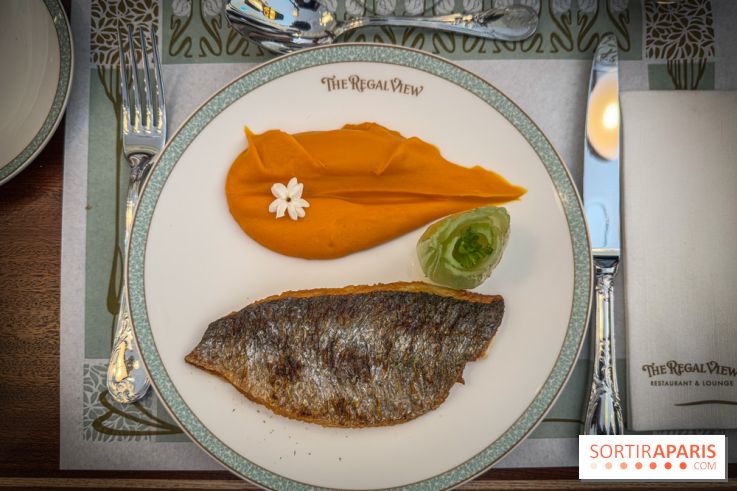 The Regal View - plat