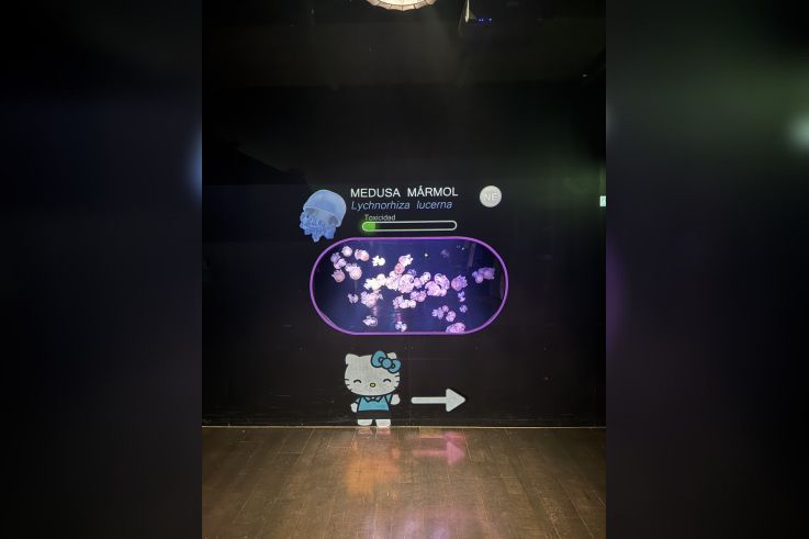 Hello Kitty et ses amis célèbrent les fêtes de fin d'année à l'Aquarium de Paris ! - IMG 8253