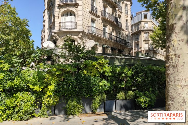 Visuels Paris - Closerie des Lilas 