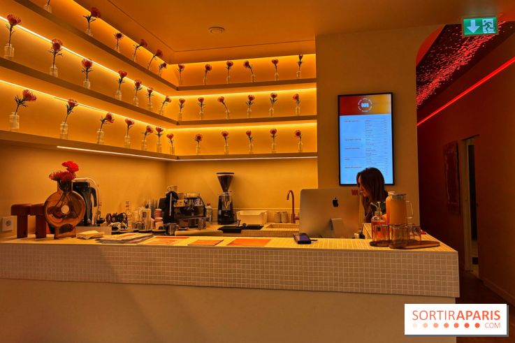 Brume Studio - IMG 1181