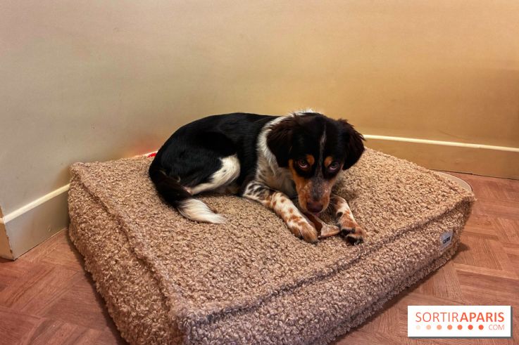 Brume Studio - IMG 1187