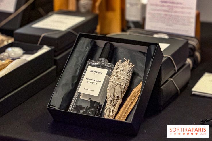 Noël 2025 à Paris : le charmant Marché de Noël dans une suite de l'Hôtel de Crillon  - IMG 3316