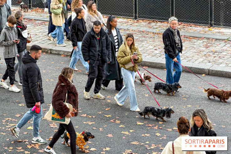 Paris Sausage Walk, la Marche des Teckels 2025 - Facetune 19 09 2026 23 19 22