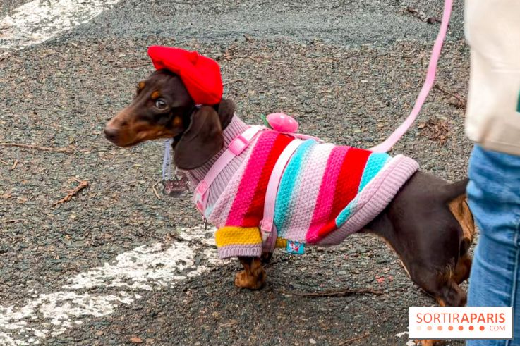 Paris Sausage Walk, la Marche des Teckels 2025