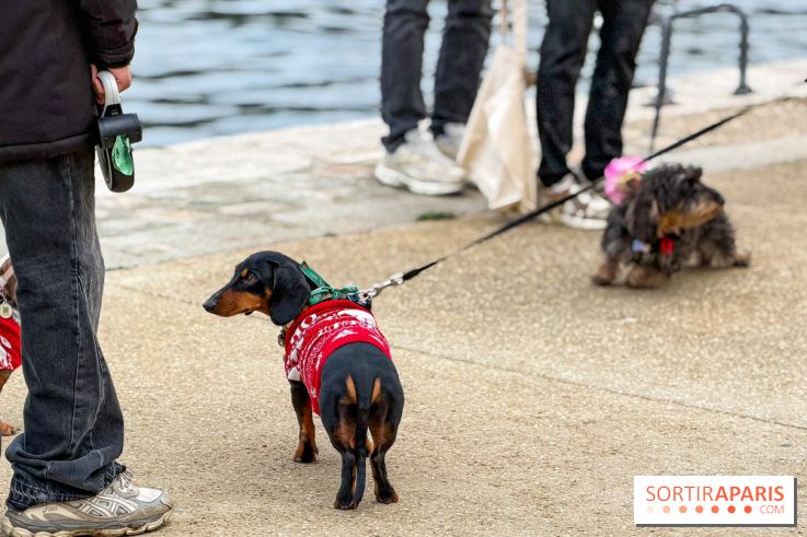 Paris Sausage Walk, la Marche des Teckels 2025