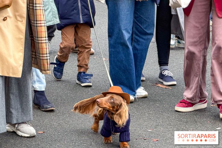 Paris Sausage Walk, la Marche des Teckels 2025