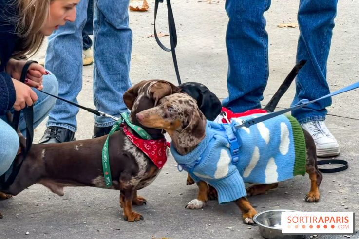 Paris Sausage Walk, la Marche des Teckels 2025