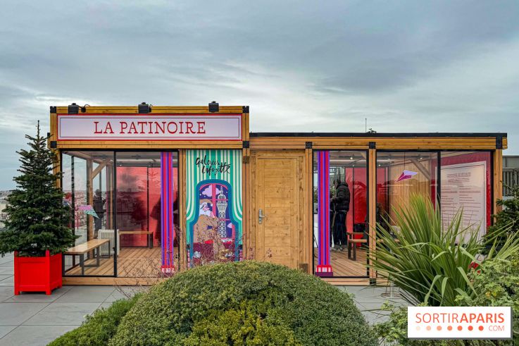 Noël 2025 aux Galeries Lafayette Haussmann : une patinoire éphémère sur les toits de Paris - IMG 3673