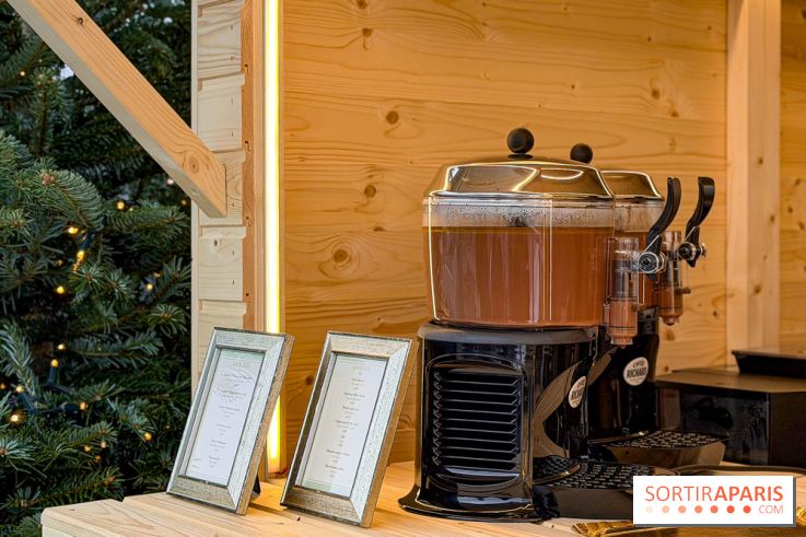 Noël 2025 aux Galeries Lafayette Haussmann : une patinoire éphémère sur les toits de Paris - IMG 3693