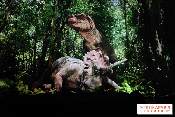 Dinosaures : l'expérience immersive qui nous fait remonter le temps à l'Atelier des Lumières, photos - fotor 1764680104761