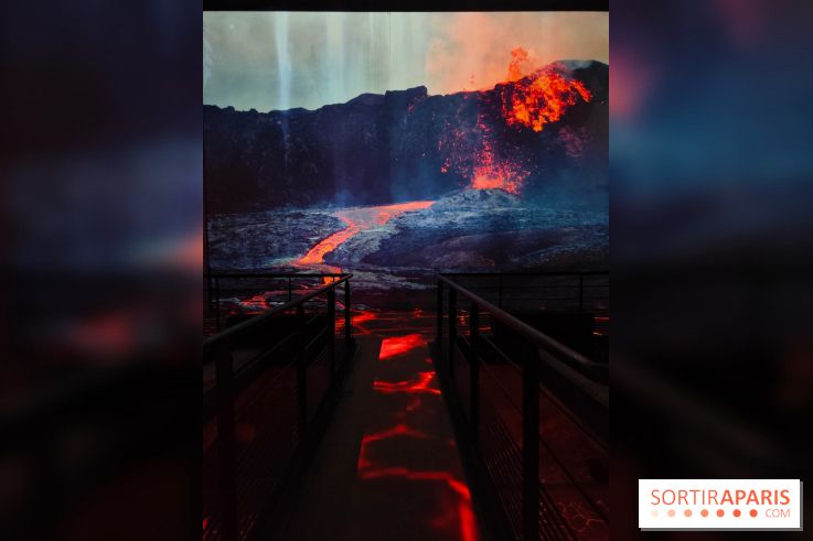 Dinosaures : l'expérience immersive qui nous fait remonter le temps à l'Atelier des Lumières, photos - fotor 1764681019826